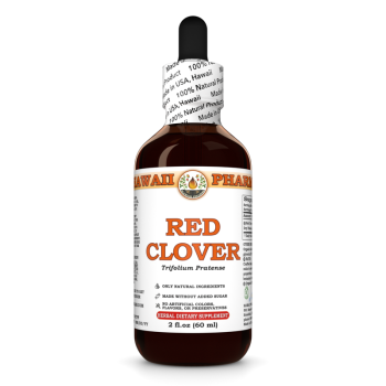 Rotklee (Trifolium Pratense) · Blüten, alkoholische Tinktur