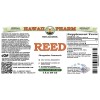 Reed (Phragmites Communis) Glycerite, Dried Stems Alcohol-Free Liquid Extract, Lu Gen, Glycerite Herbal Supplement