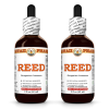 Reed (Phragmites Communis) 2x2 Oz