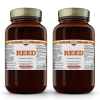Reed (Phragmites Communis) 2x32 Oz