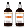 Reed (Phragmites Communis) 2x4 Oz