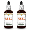 Reed (Phragmites Communis) 2x2 Oz