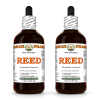 Reed (Phragmites Communis) 2x4 Oz