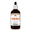 Reed (Phragmites Communis) 4 Oz
