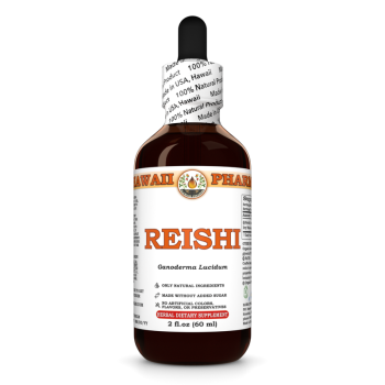 Cogumelo reishi (Ganoderma Lucidum) · tintura com álcool
