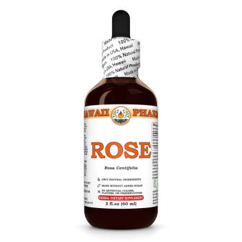 Rose (Damaszenerrose) (Rosa Centifolia) · alkoholische Tinktur