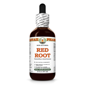 Red Root Alcohol-FREE Liquid Extract, Red Root (Ceanothus Americanus) Dried Root Glycerite
