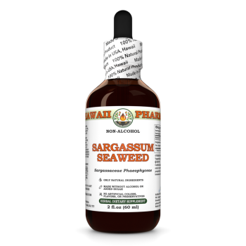 Sargassaceae Phaeophyceae · alkoholfreier Extrakt