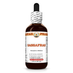 Sassafras Liquid Extract, Sassafras (Sassafras Albidum) Dried Root Bark Tincture