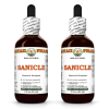 Sanicle (Sanicula Europaea) 2x2 Oz