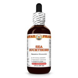Sea Buckthorn (Hippophae Rhamnoides) Tincture, Certified Organic Dried Berry Liquid Extract