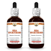 Sea Buckthorn (Hippophae Rhamnoides) 2x2 Oz