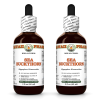 Sea Buckthorn (Hippophae Rhamnoides) 2x2 Oz