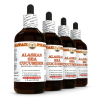 Alaskan Sea Cucumber (Apostichopus Californicus) 4x4 Oz