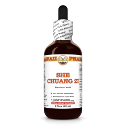 She Chuang Zi Liquid Extract, She Chuang Zi (Fructus Cnidii) Dried Fruit Tincture
