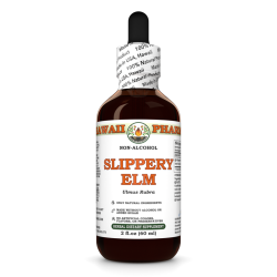 Slippery Elm Alcohol-FREE Liquid Extract, Organic Slippery Elm (Ulmus Rubra) Dried Bark Glycerite