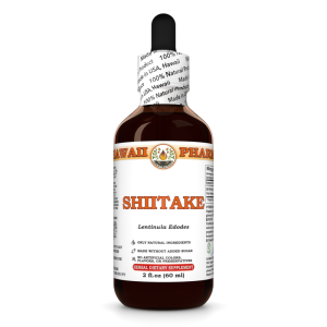 Shiitake Liquid Extract, Shiitake (Lentinula Edodes) Dried Mushroom Tincture