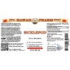 Sicklepod Liquid Extract, Dried seed (Senna Obtusifolia) Tincture