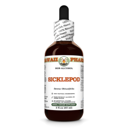 Sicklepod Liquid Extract, Dried seed (Senna Obtusifolia) Alcohol-Free Glycerite