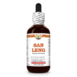 San Leng Liquid Extract, San Leng, Burreed (Scirpus Fluviatilis) Root Tincture