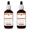 Soapnut (Sapindus Mukorossi) 2x2 Oz