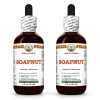 Soapnut (Sapindus Mukorossi) 2x2 Oz