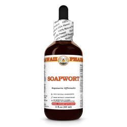 Soapwort Liquid Extract, Organic Soapwort (Saponaria officinalis) Dried Root Tincture