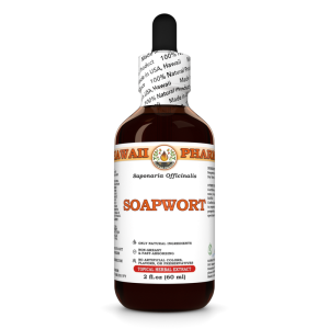 Soapwort Liquid Extract, Soapwort (Saponaria officinalis) Dried Root Tincture
