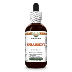 Spearmint Alcohol-FREE Liquid Extract, Organic Spearmint (Mentha Spicata) Dried Leaf Glycerite