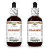Spearmint (Mentha Spicata) 2x2 Oz