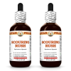 Scouring Rush (Equisetum Hyemale) 2x2 Oz