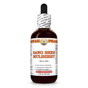 Morus Alba · Frucht, alkoholische Tinktur