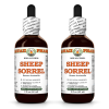 Sheep Sorrel (Rumex Acetosella) 2x2 Oz