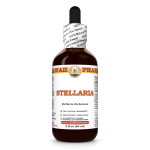 Stellaria Liquid Extract, Dried root (Stellaria Dichotoma) Tincture