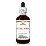 Stellaria Liquid Extract, Dried root (Stellaria Dichotoma) Alcohol-Free Glycerite