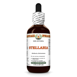 Stellaria Liquid Extract, Dried root (Stellaria Dichotoma) Alcohol-Free Glycerite