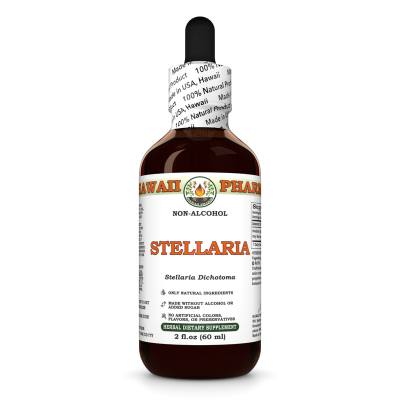 Stellaria Liquid Extract, Dried root (Stellaria Dichotoma) Alcohol-Free Glycerite