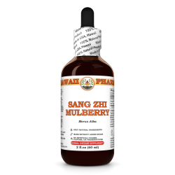 Sang Zhi Mulberry Liquid Extract, Sang Zhi, Mulberry (Morus Alba) Twig Tincture