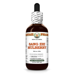 Sang Zhi Mulberry Alcohol-FREE Liquid Extract, Sang Zhi, Mulberry (Morus Alba) Twig Glycerite