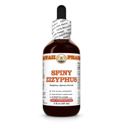 Spiny Zizyphus Liquid Extract, Dried leaf (Ziziphus Spina-Christi) Tincture