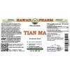 Tian Ma Alcohol-FREE Liquid Extract, Tian Ma, Gastrodia (Gastrodia Elata) Tuber Glycerite