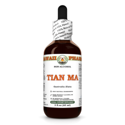 Tian Ma Alcohol-FREE Liquid Extract, Tian Ma, Gastrodia (Gastrodia Elata) Tuber Glycerite