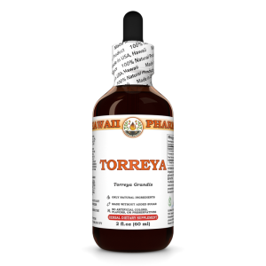 Torreya Liquid Extract, Dried nut (Torreya Grandis) Tincture