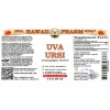 Uva Ursi Liquid Extract, Organic Uva Ursi (Arctostaphylos Uva-Ursi) Dried Herb Tincture