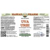 Uva Ursi Alcohol-FREE Liquid Extract, Organic Uva Ursi (Arctostaphylos Uva-Ursi) Dried Herb Glycerite
