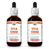 Uva Ursi (Arctostaphylos Uva-Ursi) 2x2 Oz