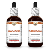 Vaccaria (Vaccaria Hispanica) 2x2 Oz