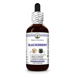 Blackberry (Rubus Armeniacus) Dried Root Veterinary Natural Alcohol-FREE Liquid Extract, Pet Herbal Supplement