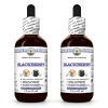 Blackberry (Rubus Armeniacus) 2x2 Oz