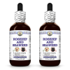 Rosehip And Seaweed, Veterinary Natural Alcohol-FREE Liquid Extract, Pet Herbal Supplement 2x2 Oz